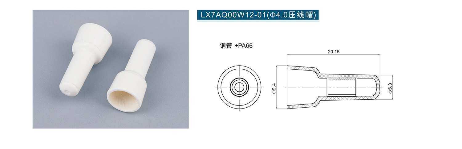 組合 1_頁面_120 - 副本 (2).jpg